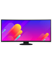 EIZO EIZO FlexScan EV3895 LCD Ultra 37,5 inch (24:10) 3840x1600