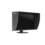 EIZO EIZO ColorEdge CG3100 30.5 inch (17:9) 4K-DCI 4096x2160