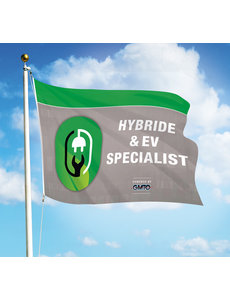 Vlag: Hybride & EV Specialist