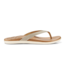 Honu - Tapa / Golden Sand