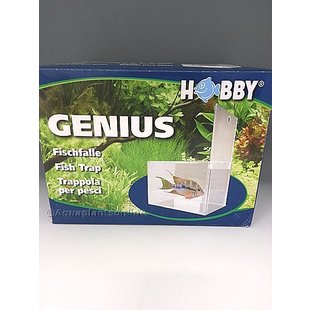 Hobby genius visval, vissenval