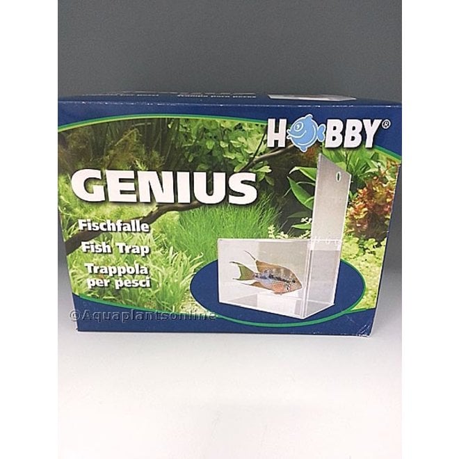 Hobby genius visval, vissenval