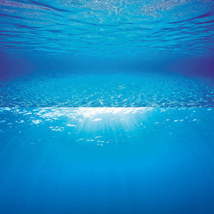 Juwel achterwand poster 2 S 60x30 cm waterimpressies