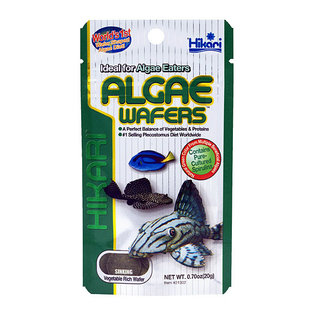 Hikari Tropical Algae wafers 250 gram, zinkende algentabletten