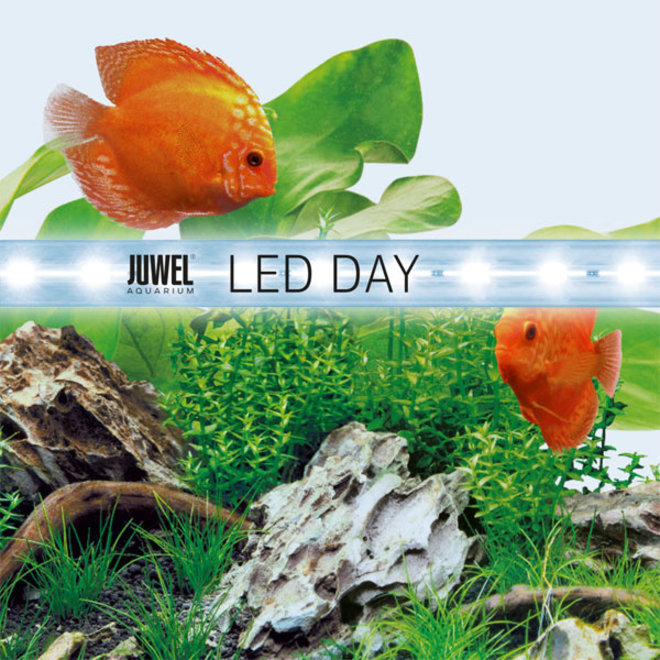 Juwel LED Day 590 mm 13 watt