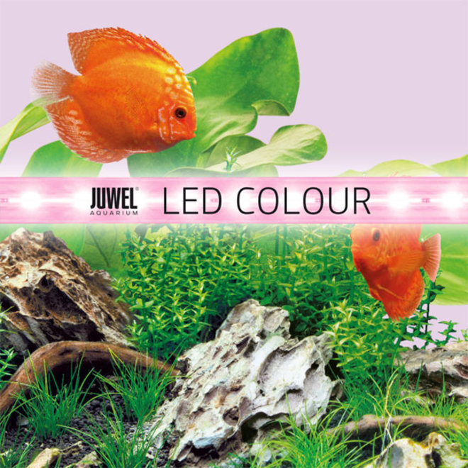 Juwel LED Colour 590 mm 14 watt