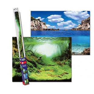 Aqua Nova achterwand poster XL 150x60 cm plant / oceaan motief