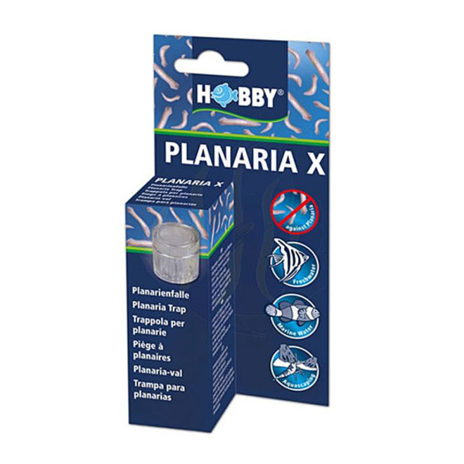 Hobby Planaria X, planaria val