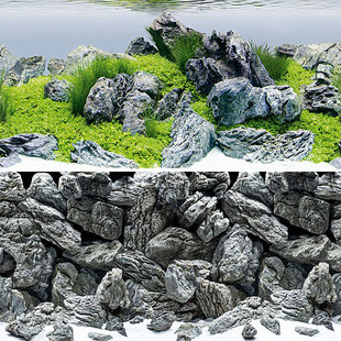 Juwel achterwand poster 4 S 60x30 cm rock / aquascape
