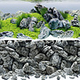Juwel achterwand poster 4 L 100x50 cm rock / aquascape