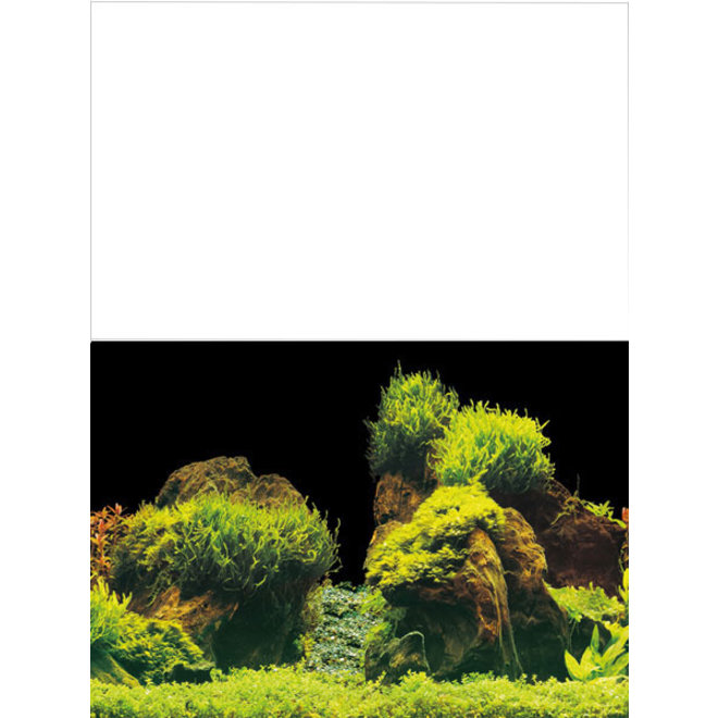 Superfish Deco poster E1, 60x30 cm achtergrond (OULET)