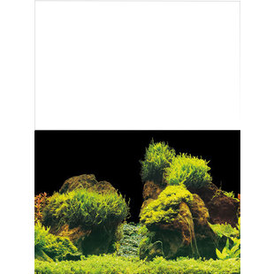 Superfish Deco poster E5, 120x61 cm achtergrond (OUTLET)