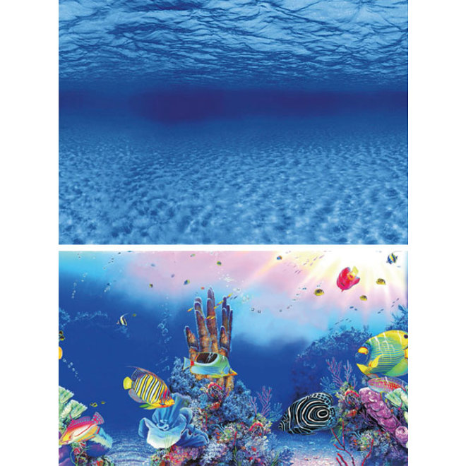 Met andere woorden Bounty Omringd Superfish Deco poster F2, 60x49 cm achtergrond - Aquaplantsonline voor al  uw aquariumplanten en producten