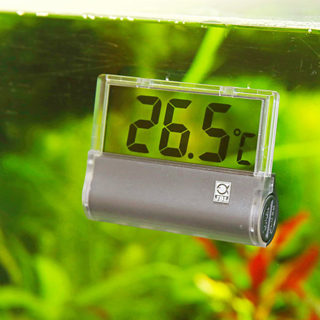 JBL Thermometer DigiScan, digitale thermometer Aquaplantsonline voor al uw aquariumplanten en producten