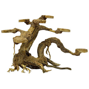 Superfish Bonsai Planter small