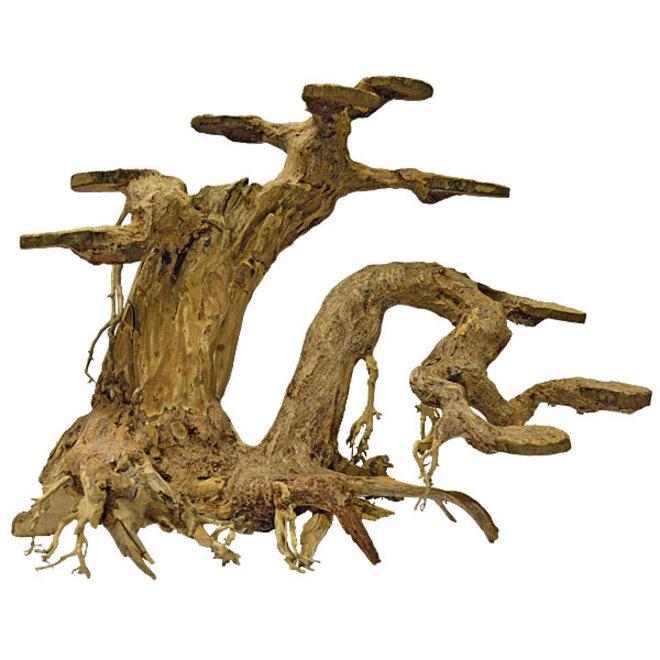 Superfish Bonsai Planter large