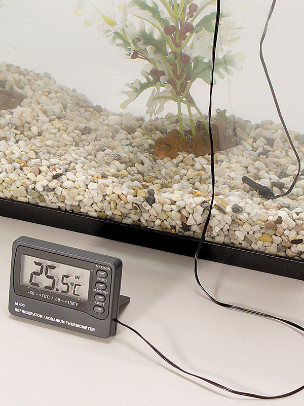 Verslinden steeg Weggelaten EBI Digitale thermometer met alarm 0-50 graden - Aquaplantsonline voor al  uw aquariumplanten en producten