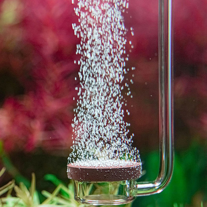 Aquario Neo CO2 Diffusor