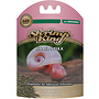 Dennerle Shrimp King Snail sticks, slakkenvoer