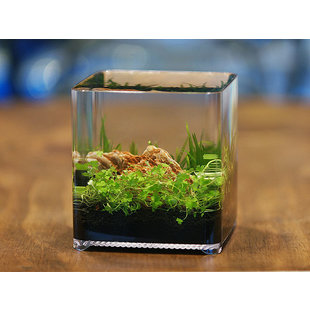 Ziss Aqua ZT-14 Nano aquarium 2,4 liter