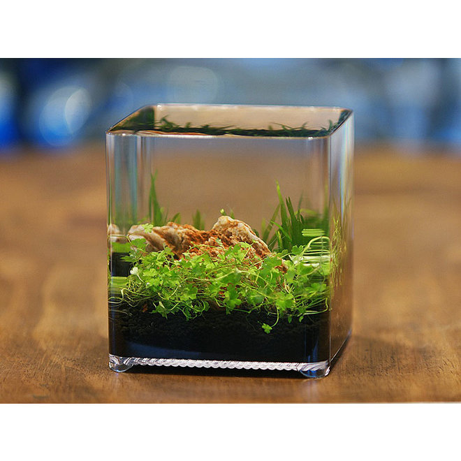 Ziss Aqua ZT-14 Betta box nano aquarium 2,4 liter