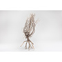 Aquadeco Desert Tree 20-30 cm