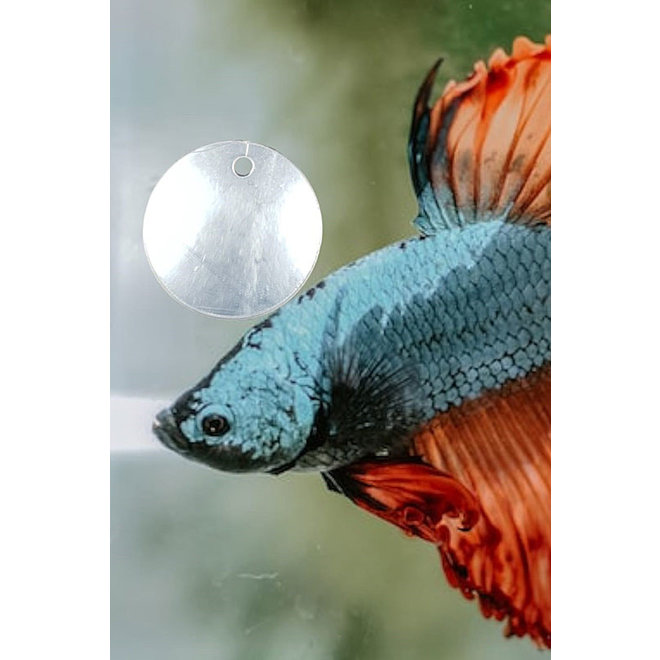 APO Betta Floating Mirror, drijvende spiegel voor de mooiste