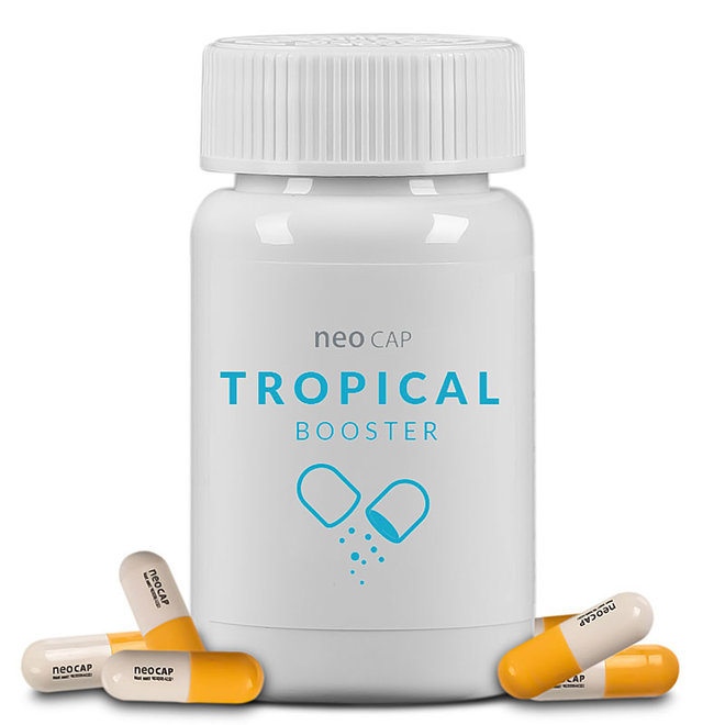 Aquario Neo Cap Tropical Booster