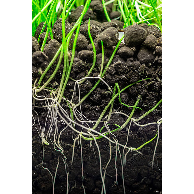 Dennerle Plants Soil, actieve aquariumbodem