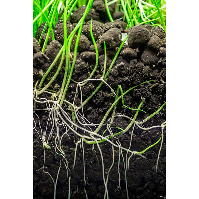 Dennerle Plants Soil