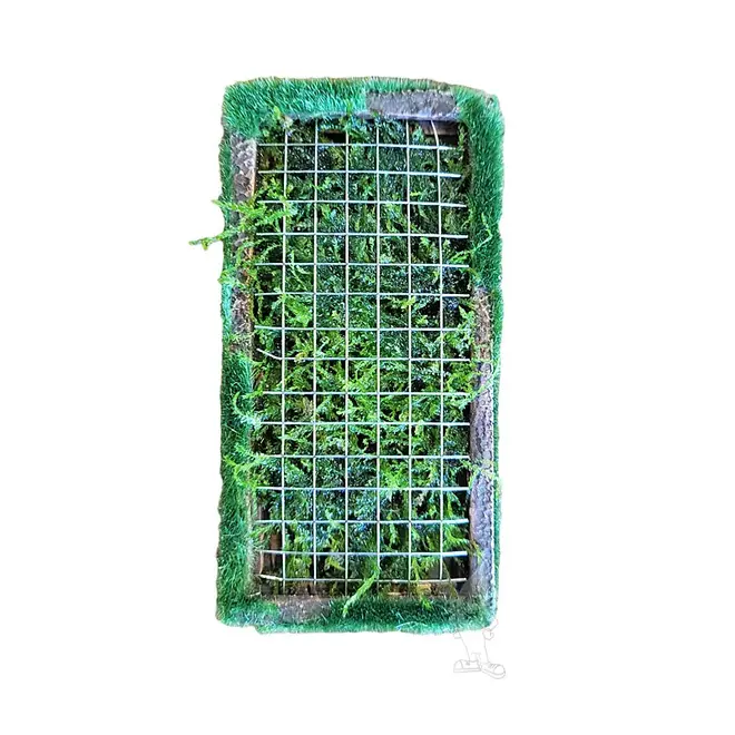 Superfish Scapers Moss Tray