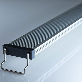 Twinstar Light B-Line 120B II