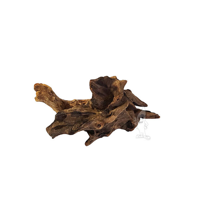 Wabi Kusa Drift Wood 5-12 cm 2 stuks