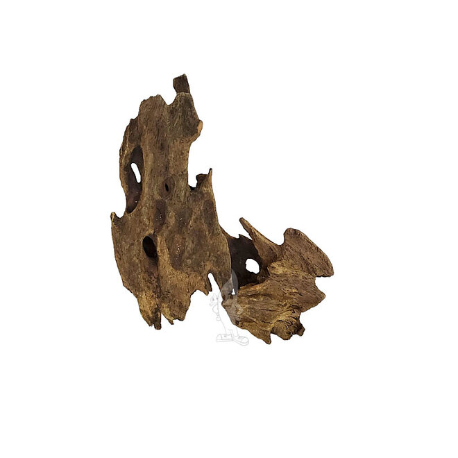 Wabi Kusa Honeycomb Wood 5-12 cm 2 stuks