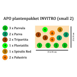 APO plantenpakket INVITRO (small 2) (PlantExpress)