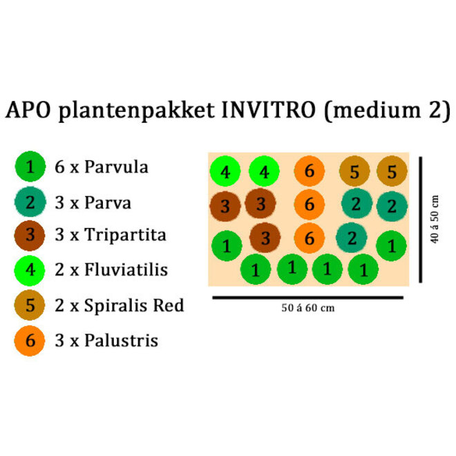 APO plantenpakket INVITRO (medium 2) (PlantExpress)