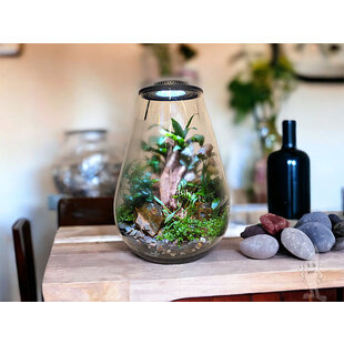 Wabi Kusa Bio Bowl 175 incl. LED