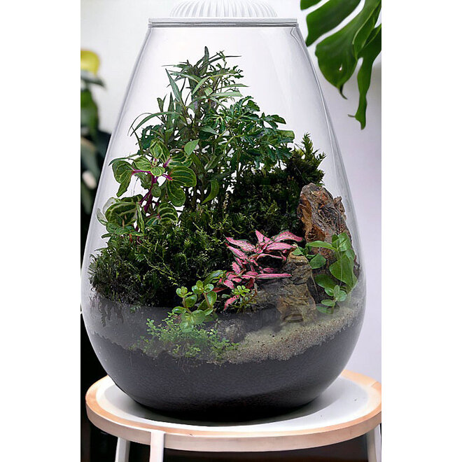 Wabi Kusa Bio Bowl 175 incl. LED