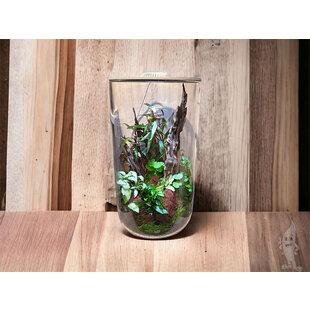 Wabi Kusa Bio Cylinder 200 incl. LED