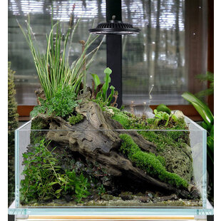 Wabi Kusa Bio Tank 32x20x14 cm incl. LED