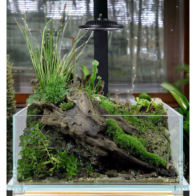 Wabi Kusa Bio Tank 32x20x14 cm incl. LED