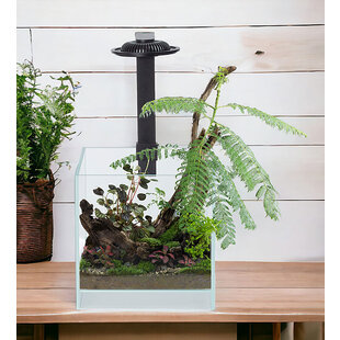 Wabi Kusa Bio Air Tank 20x20x20 cm incl. LED