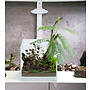Wabi Kusa Bio Air Tank 30x18x12 cm incl. LED