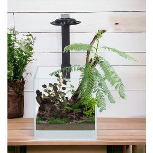 Wabi Kusa Bio Air Tank 30x18x12 cm incl. LED