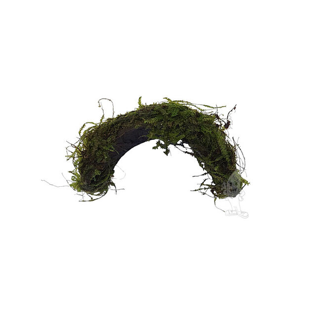Cocosnoot brug met Christmas mos