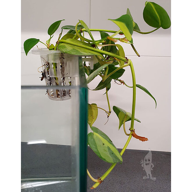 APO Hangende Plant Pot