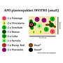 APO plantenpakket INVITRO (small) (PlantExpress)