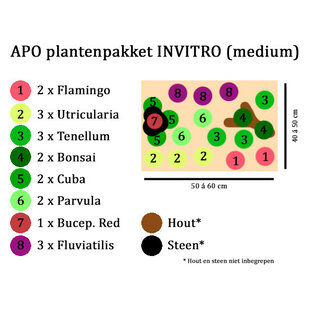 APO plantenpakket INVITRO (medium) (PlantExpress)