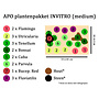 APO plantenpakket INVITRO (medium) (PlantExpress)