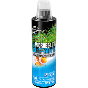Microbe-Lift Nite-Out II, opstart bacteriën